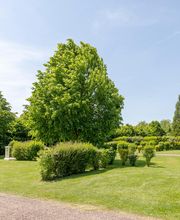 Camping*** du Vélodrome image 13