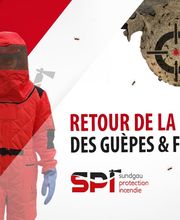 Sundgau Protection Incendie - Destruction Nids De Guêpes et frelons image 9