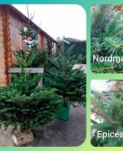 Ets Degauchy image 10