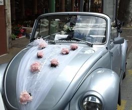Espace Fleurs image 19