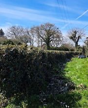 Jlr Elagage Cotes d'Armor image 2