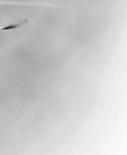 Bestattungsdienst ZUBER GmbH Bild 5