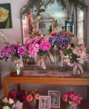 Gallery Cliente