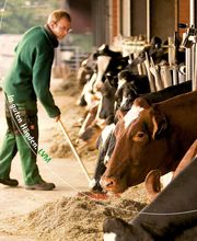 LVM Versicherung Frank Becker - Versicherungsagentur Bild 9