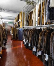 Gallery Professionale