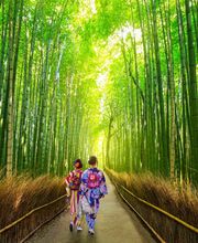 Vögele Reisen AG Bild 2