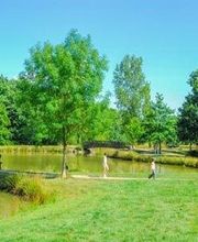 Abc Forest image 2