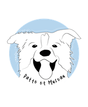 Patte et Museau image 6