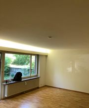 Basilisk Maler GmbH Bild 13