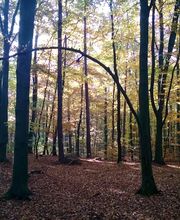 FriedWald Mühlenbecker Land Bild 8