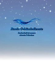 Ronin Gebäudedienste Bild 2