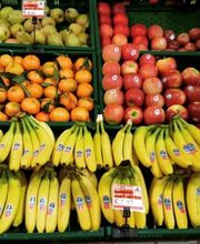 Gallery Professionale