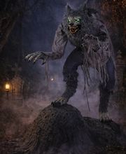 Spooky-Store Bild 9