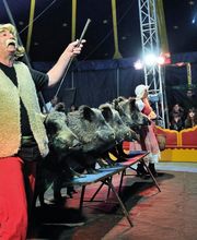 Gascogne Spectacles image 1