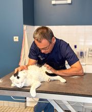 ClinicVet Vétérinaire Etrépagny image 4