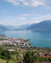 Patrick Darbois Immobilier Group SA Bild 1