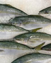 Julio Pérez SL imagen 1