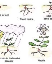 Almosnino Caroline image 20