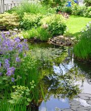 Eickenberg Moritz Bild 1