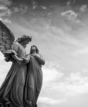 Le Chat Noir Benoit B. image 1