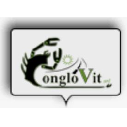 Conglovit S.r.l. Chiavarino logo