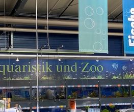 HORNBACH Gartencenter Kiel Bild 1