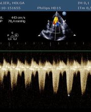 Clinique vétérinaire des Ducs de Bourgogne image 18