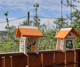 Mehrere Vogelnistkästen am Holzzaun, Schwabenglanz, 88605 Meßkirch