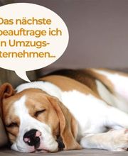 Redas Logistics UG Bild 1