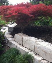 Heyer Gartenbau GmbH Bild 6