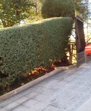 225664234-1-gl9y4LpzHi1556021086557.jpeg