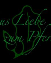 Pferdeosteopathie Cindy Zach Bild 1