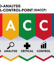 Eco Line Sagl Bild 4