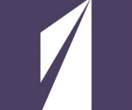 Optic 2000 image 11
