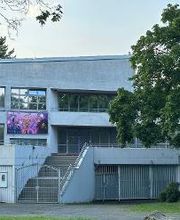 Savira´s SHOWPALAST Bild 3