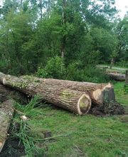 Nature Domestiquee image 7