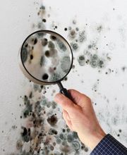 Baugutachter Schulten Bild 3