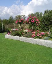 Wild Gartenbau AG Bild 2