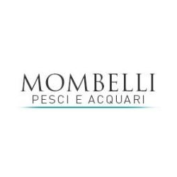 Acquari Mombelli logo