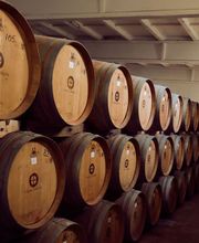 Ciausoiu Vinothek Bild 1