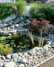 HDJardin David Hämmerli