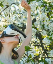 Ehm Garten- und Landschaftsgestaltung Bild 2