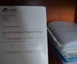 237051156-1-1Nny3TEWsH1738099916198.jpeg
