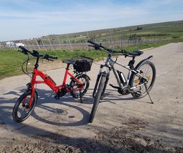 mp2radshop Bild 3