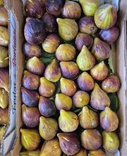 Epicerie Pont-Céard Bild 3