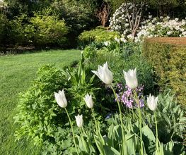 zehnder-garten GmbH Bild 5