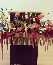 Hertig Fleurs Bild 2