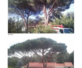 Roussillon Elagage image 14
