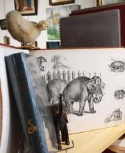 La Librairie Bourbonnaise image 5