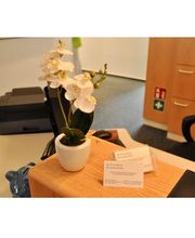 Kieferorthopäde Dr. Peter Kram